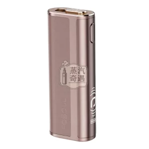 Fasoul C2 二回機棕色